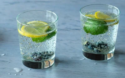 Chia Wasser – ballaststoffreiche Erfrischung
