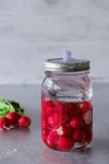 Radieschen fermentieren: Fermentationsglas mit Radieschen