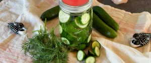 Fermentierte Gurken