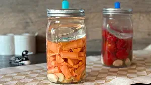 Karotten fermentieren