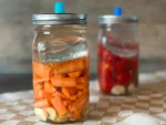 Karotten fermentieren: Fertig im Fermentationsglas