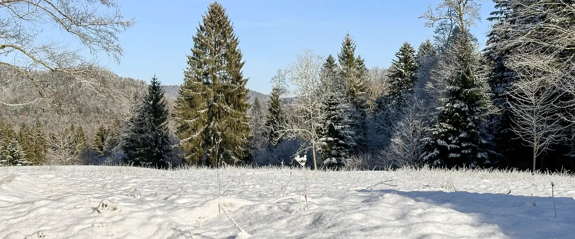 Rauhnächte – Anleitung für Realisten