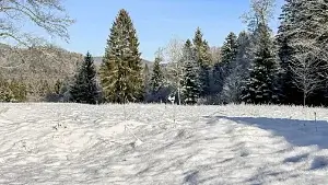 Rauhnächte Anleitung