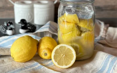 Fermentierte Zitronen – ein vielseitiges Würzmittel
