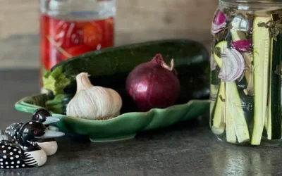 Zucchini fermentieren – So kannst du Zucchini haltbar machen